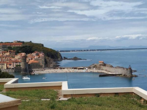 location vue mer du samedi au samedi, clim, parking, piscine, plage